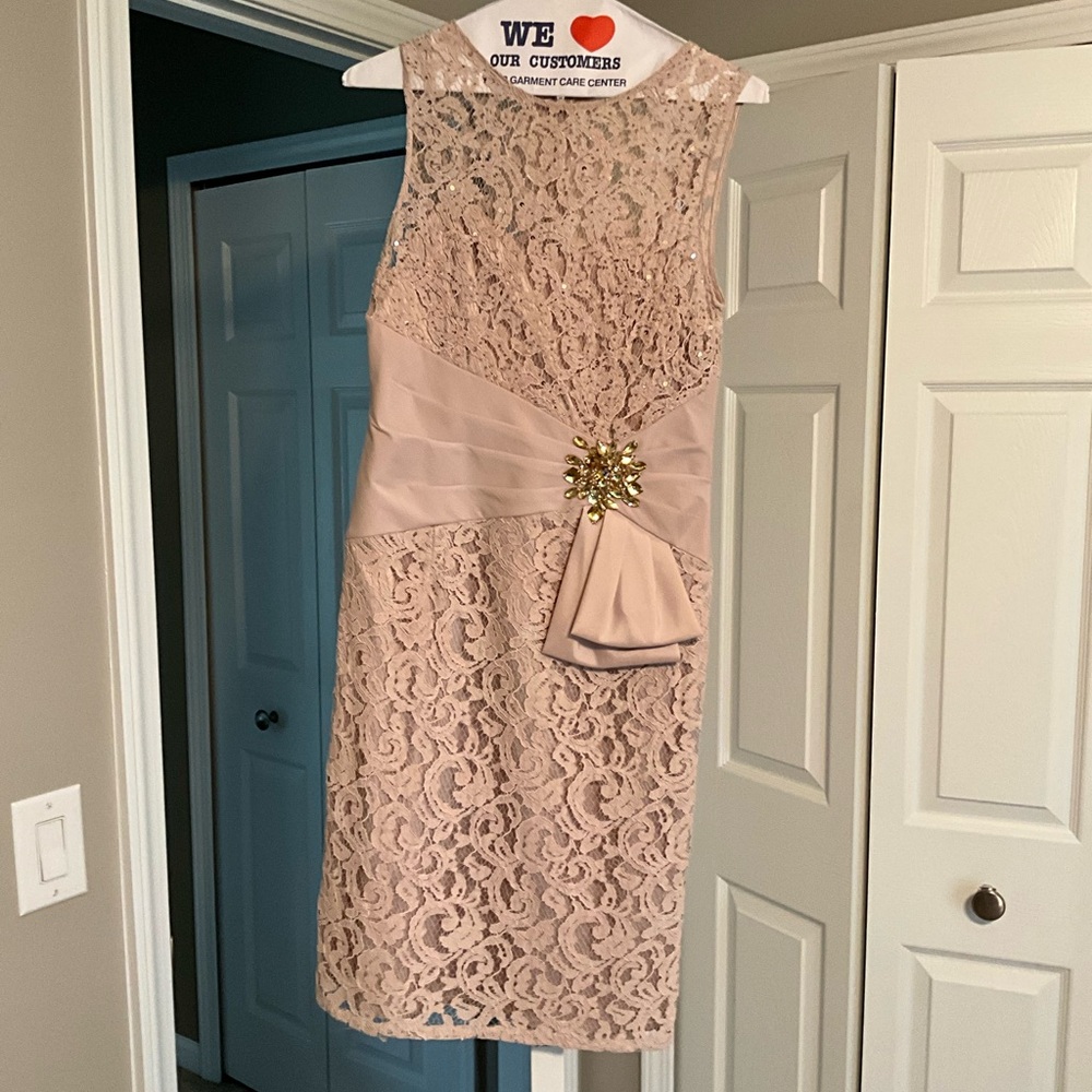 Eliza J Dusty Blush Lace Sheath Dress with Gold Brooch